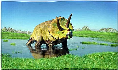 triceratops in a pond, herbivorous dinosaurs