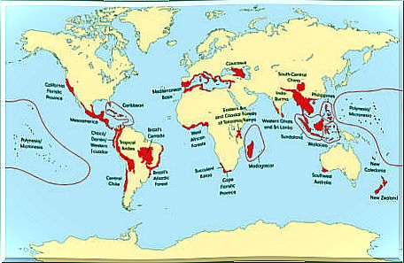 Mappa di distribuzione della biodiversità delle specie.