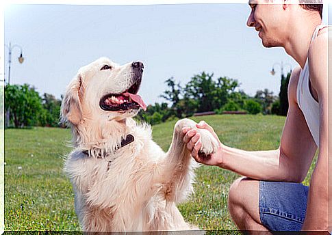 Your dog knows if you are happy or angry