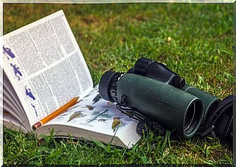 Zoology books on birds with telescope.